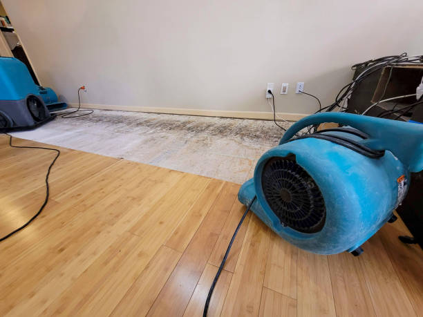Professional Basement Flood Cleanup technician working in Hutto, TX